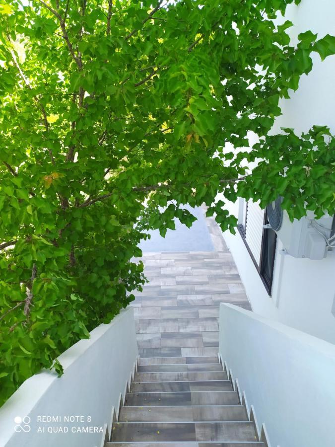 House Eugenia * Sarti