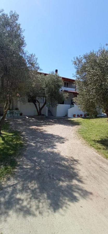 House Eugenia