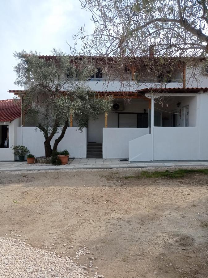 House Eugenia Apartment