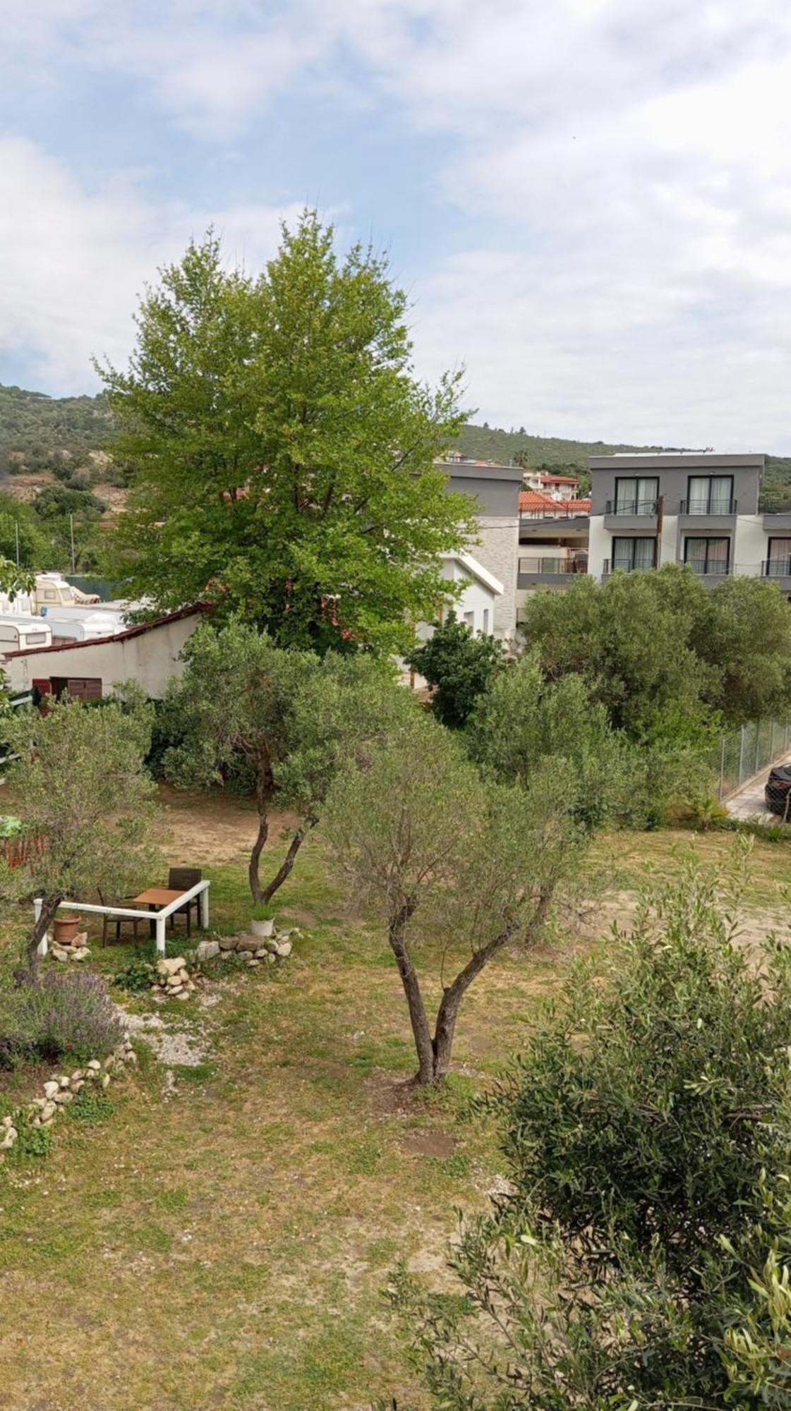 House Eugenia Sarti